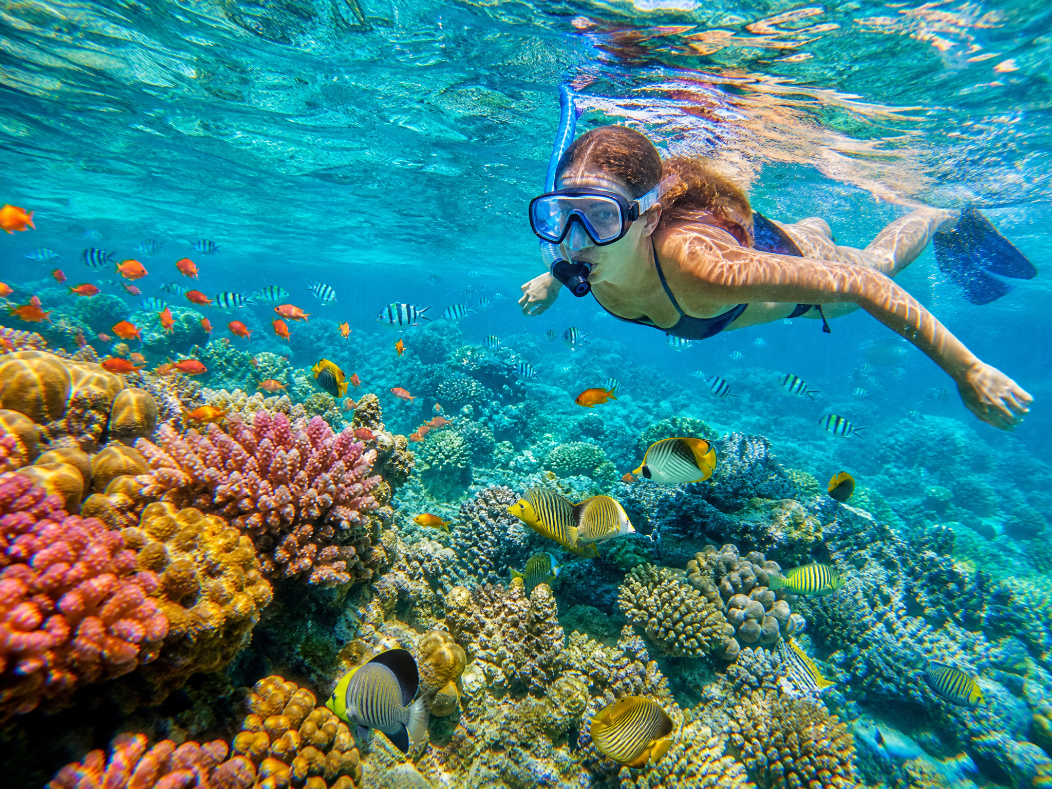 Coral Island