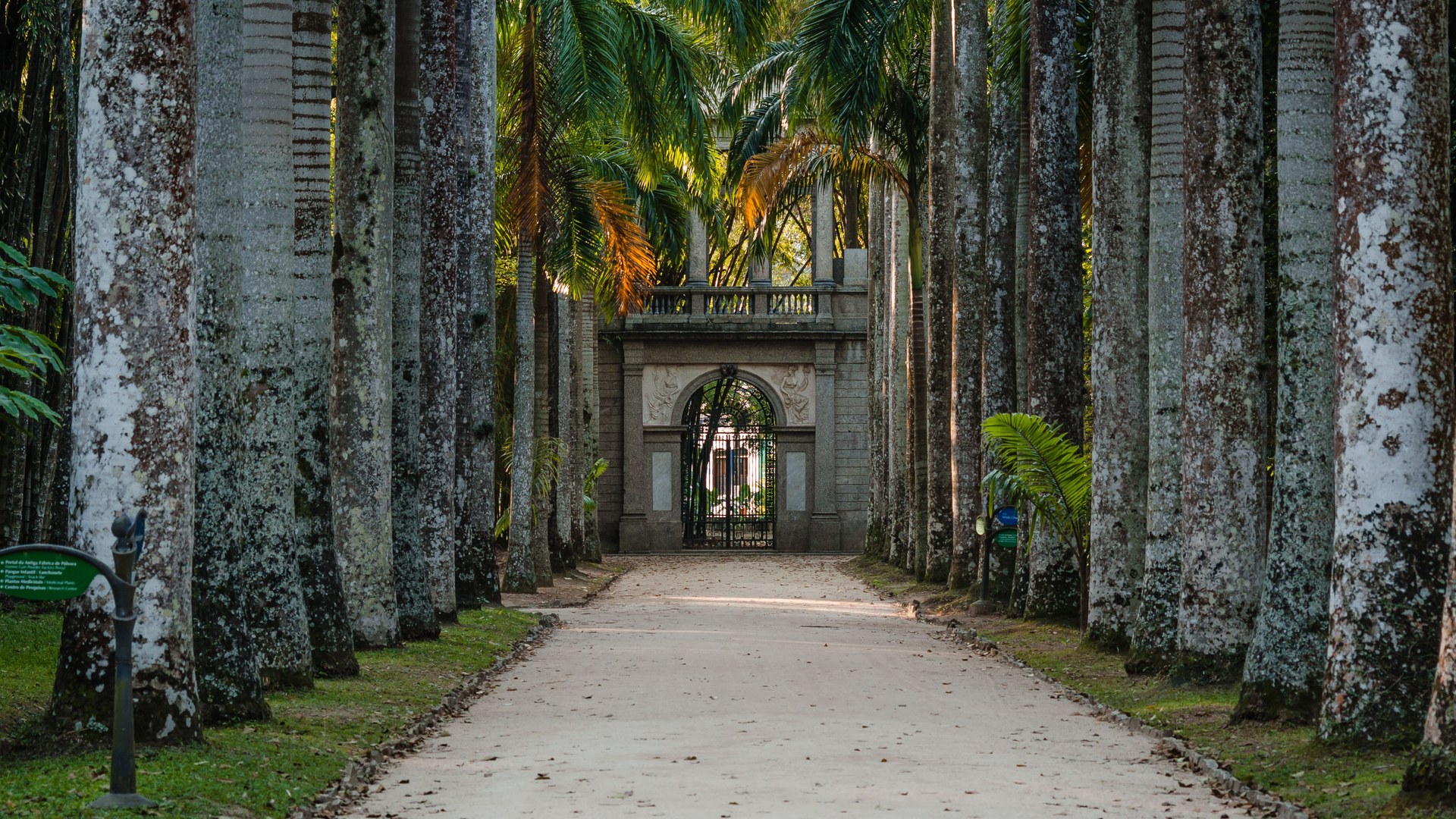 Jardim Botânico, Lagoa e Santa Teresa: um Rio mais calmo e charmoso