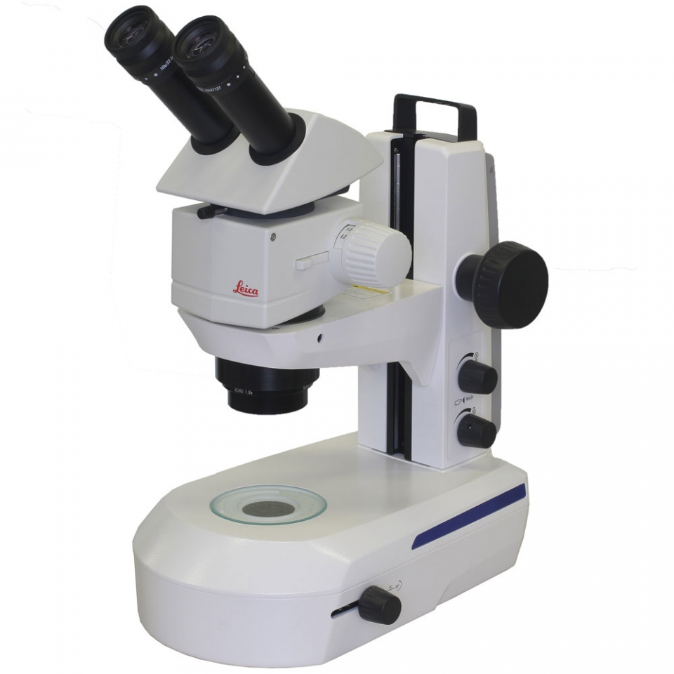 Leica M80 Stereo Microscope