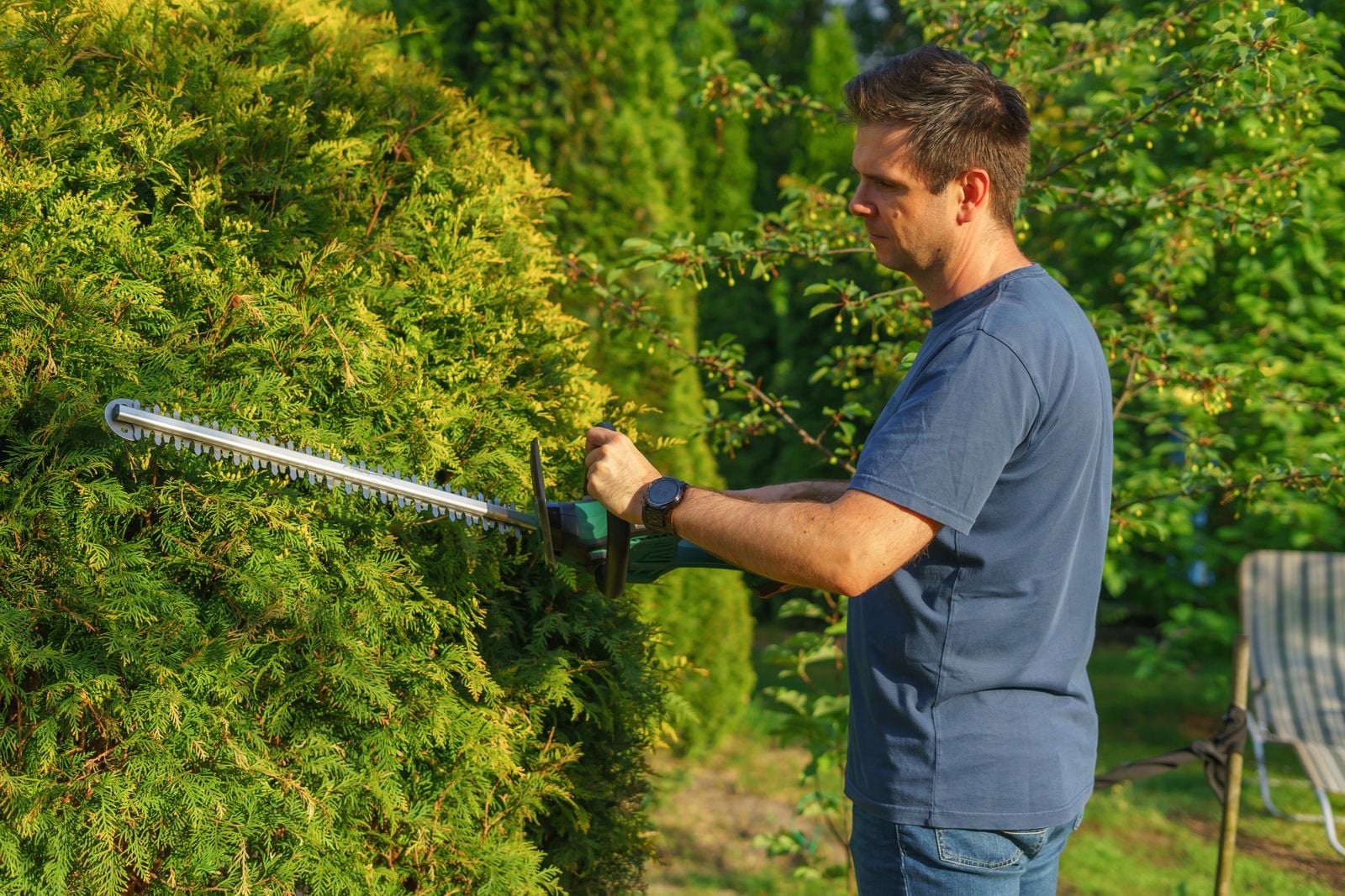 Hedge Trimming & Cutting work at a Northamptonshire property – photo 5