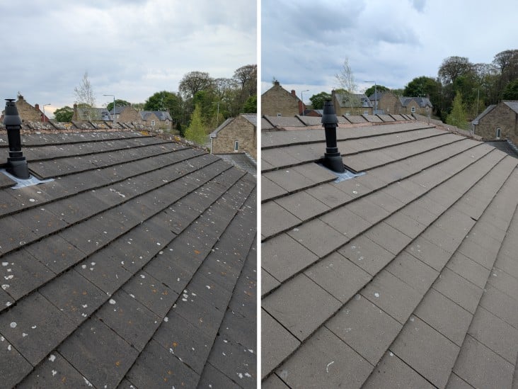 Professional roofing services