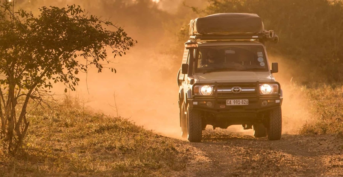 Safari for Seniors: How to Enjoy Africa at Any Age
