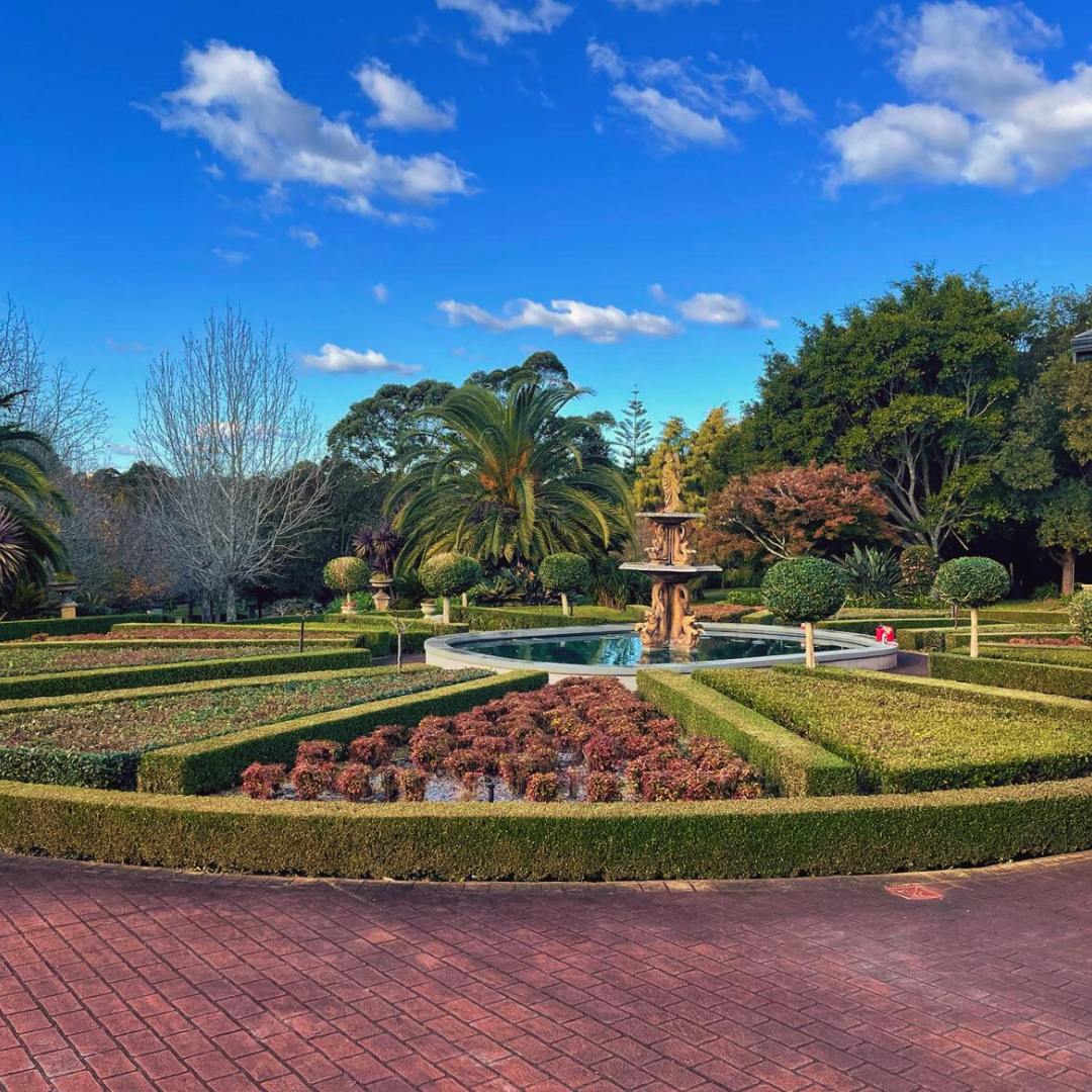 Topiary & Hedging - Working Earth landscaping service