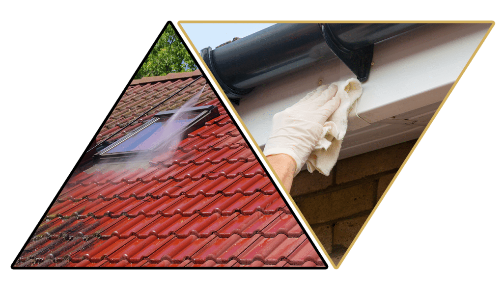 Professional roof maintenance and cleaning