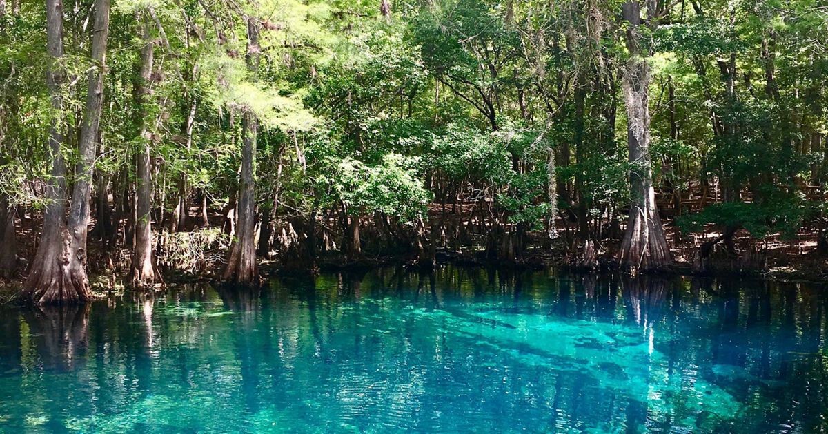 Natural spring water source