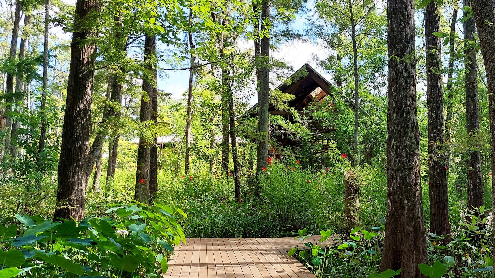 Green spaces and nature in Lowry Crossing