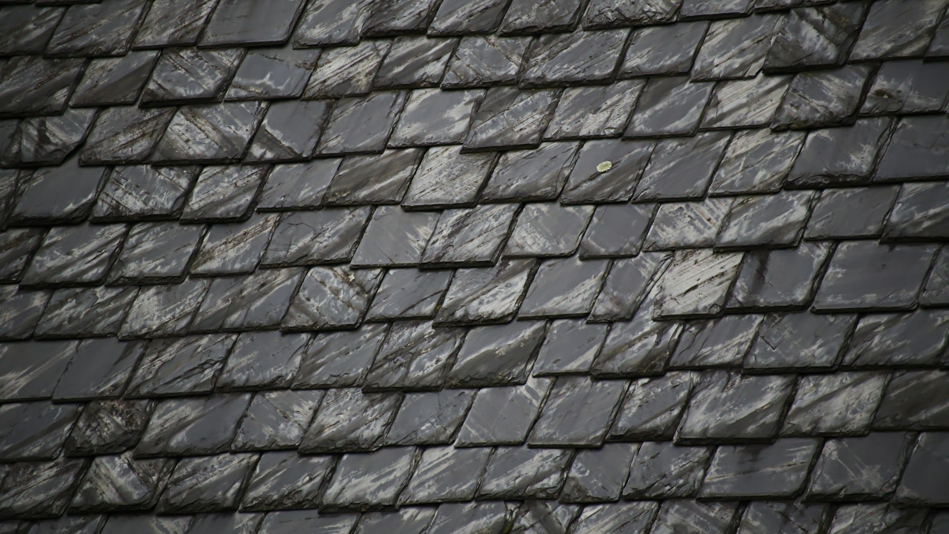 Close-up of slate roof tiles