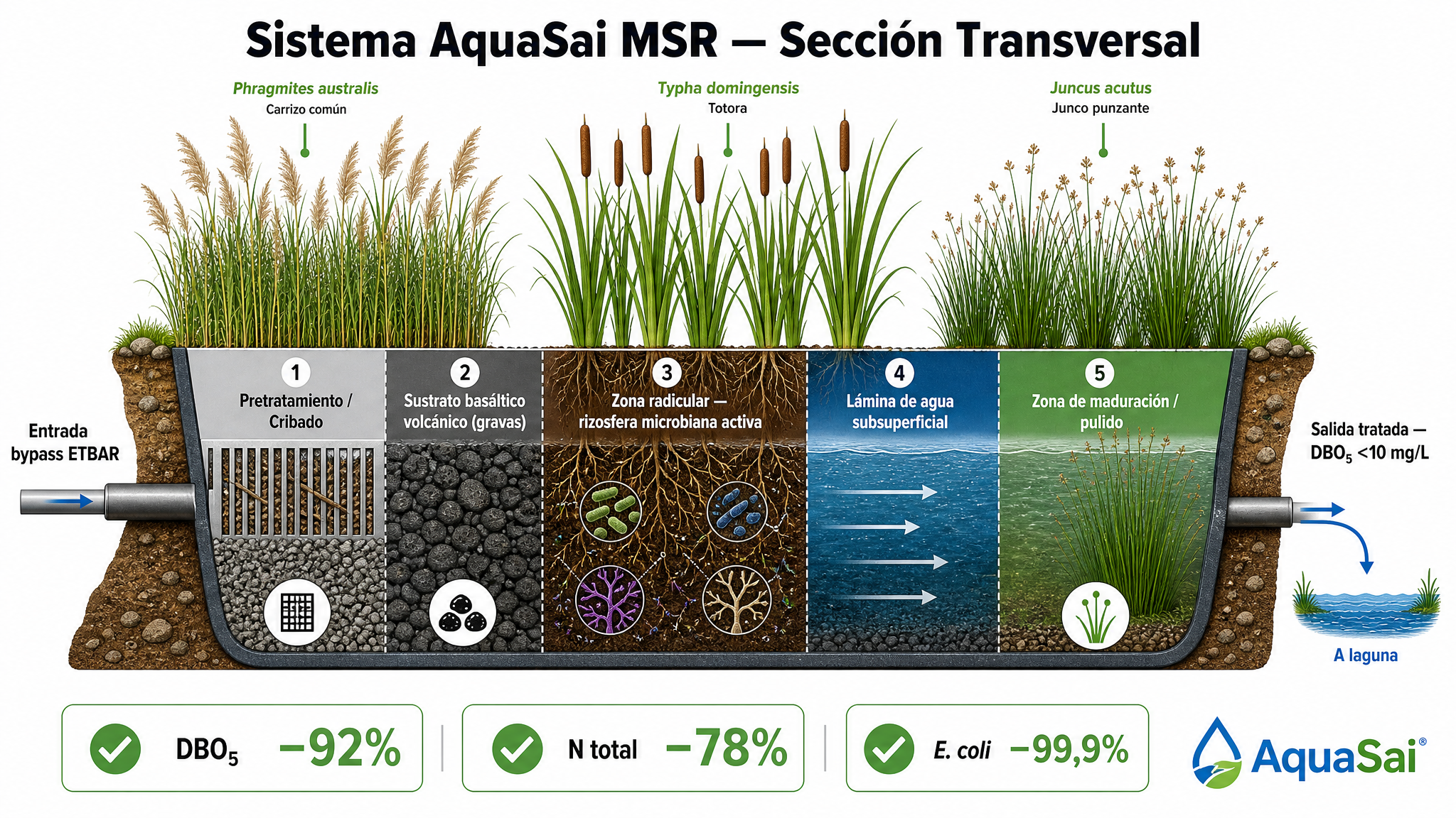 Sección transversal del sistema MSR AquaSai