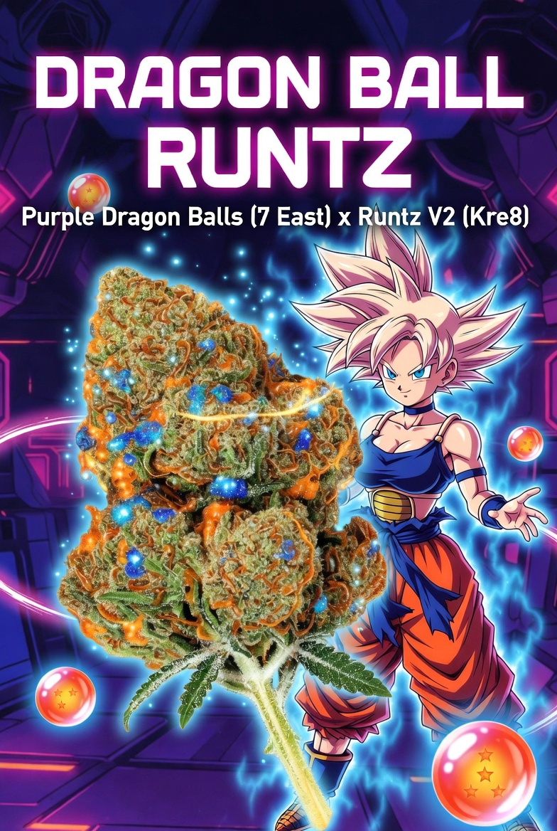 Dragon Ball Runtz