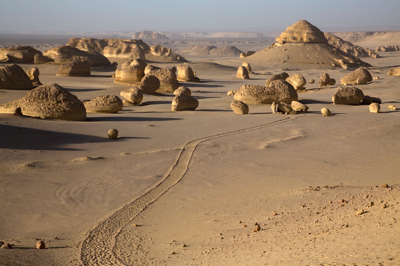 A dry sandy seasonal riverbed in an arid landscape