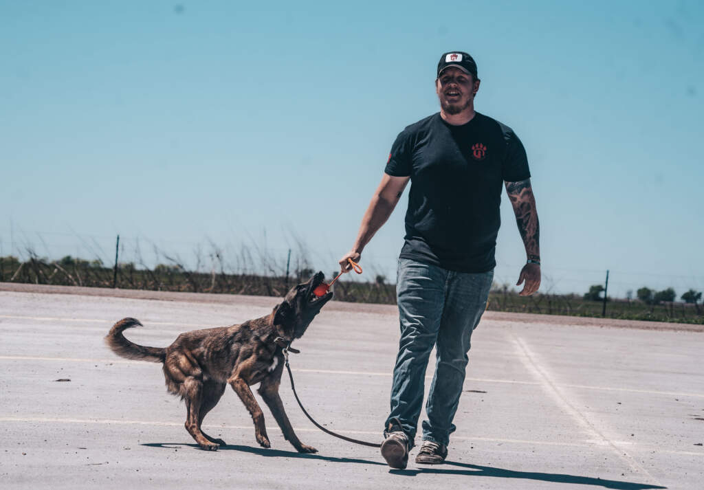 12-Week Basic Obedience