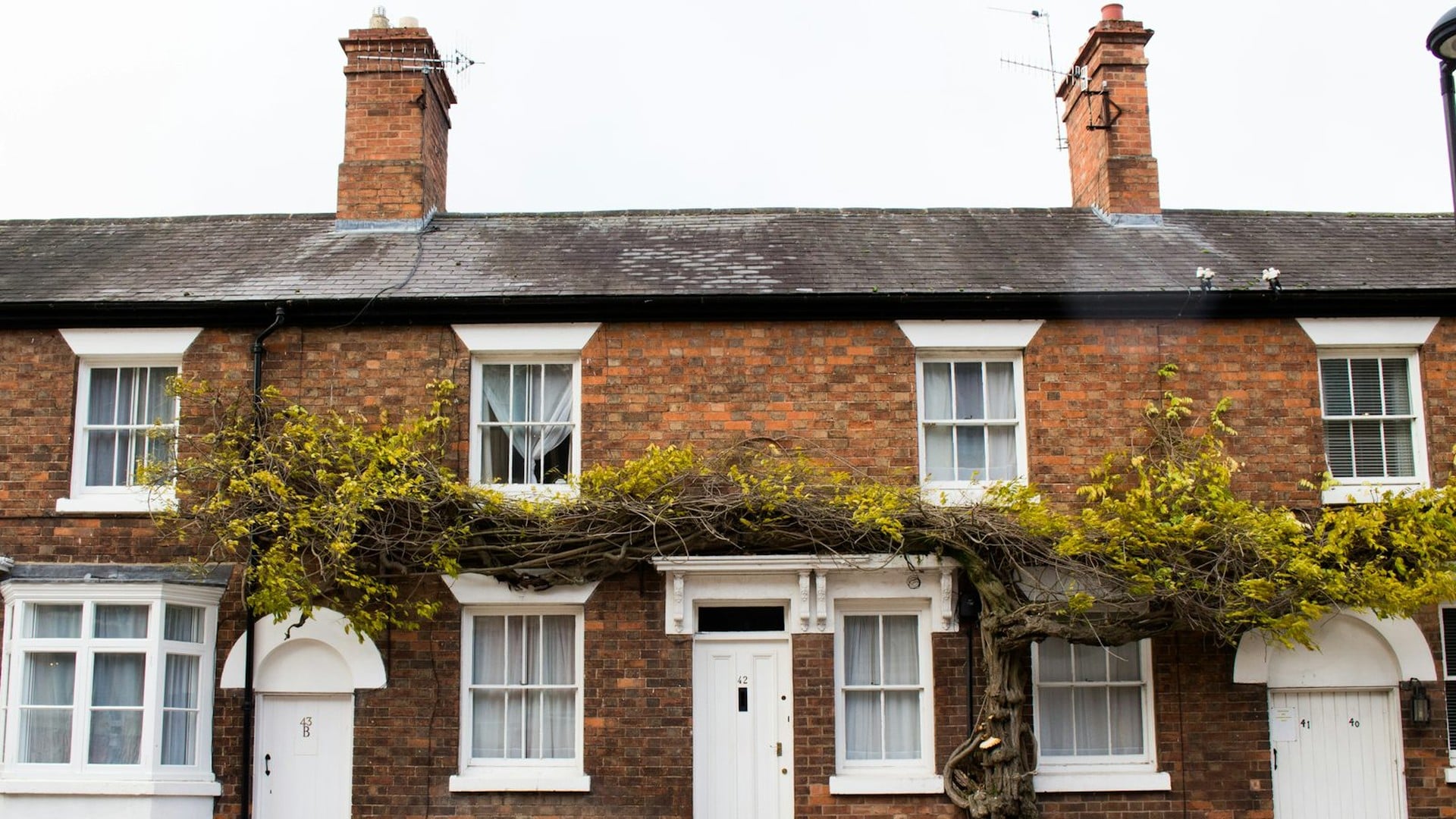 Terraced houses with slate roofing in Newcastle