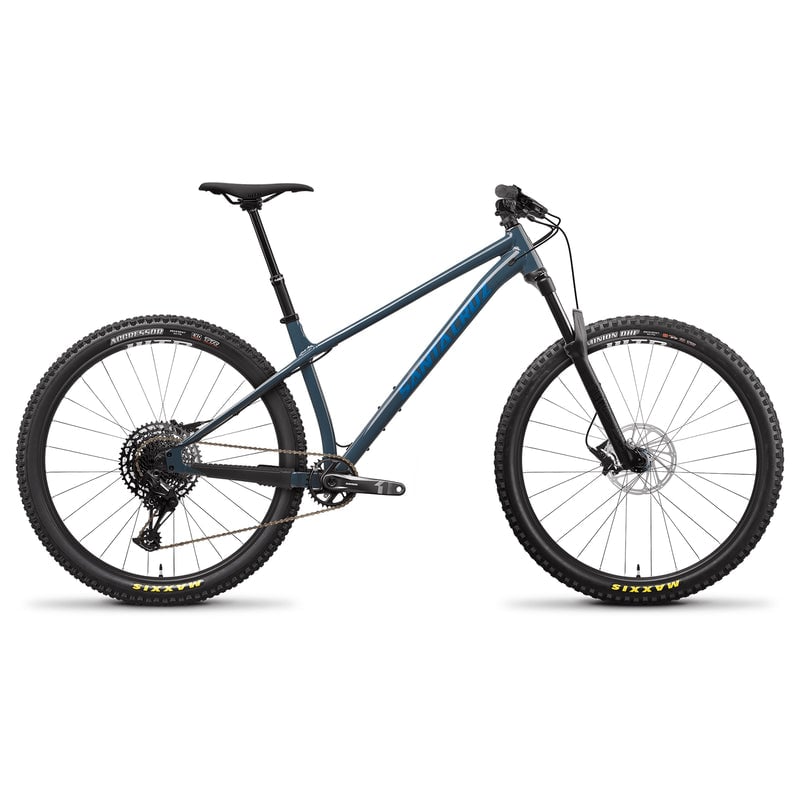 Santa Cruz Chameleon