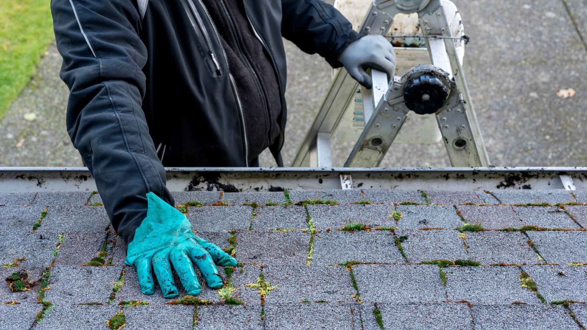 Moss Removal – Longridge