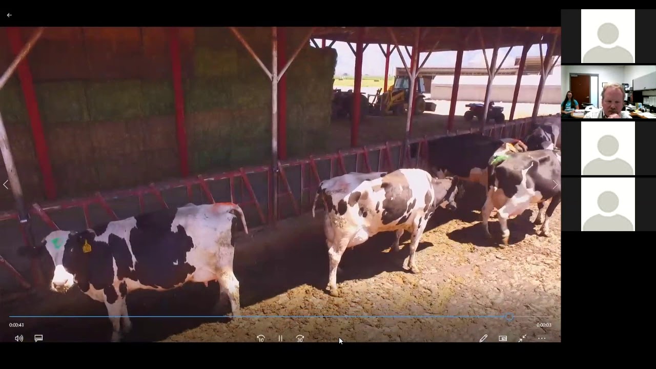 Comprehensive Ranch Security: Best Practices for Livestock Protection