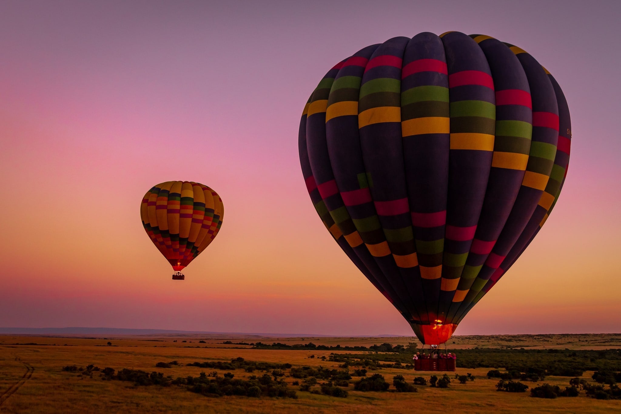 Best Kenya Safari Tours: 10 Expert-Picked Itineraries for 2025–2026