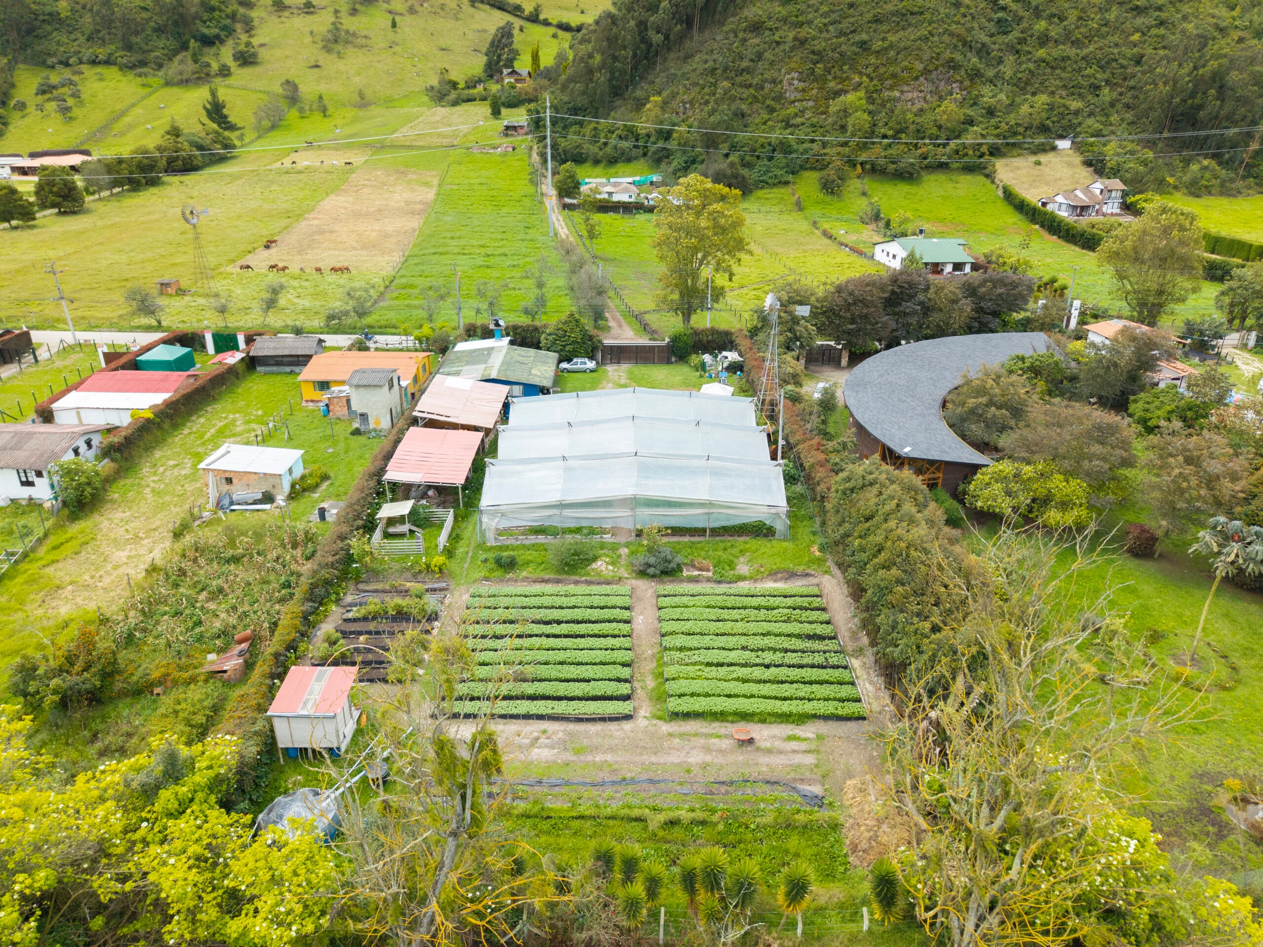 Agricultura sostenible