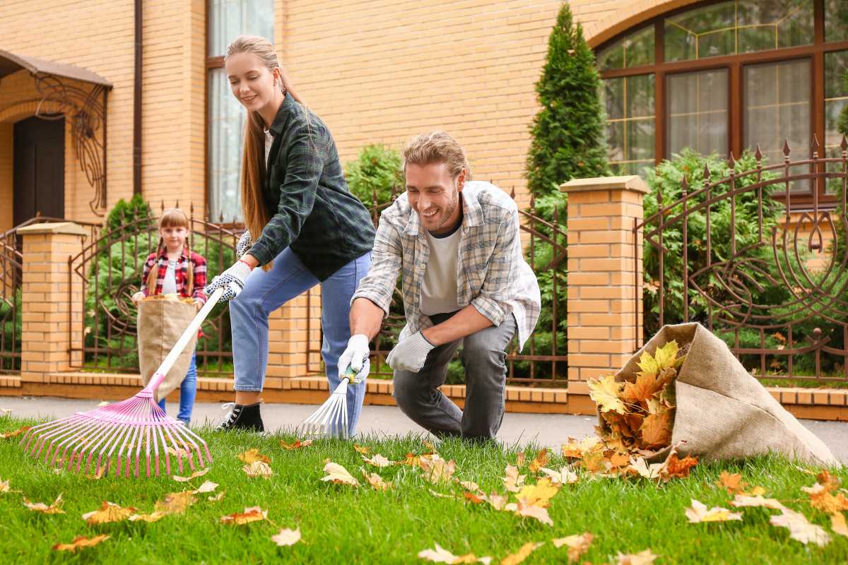Leaf Removal
