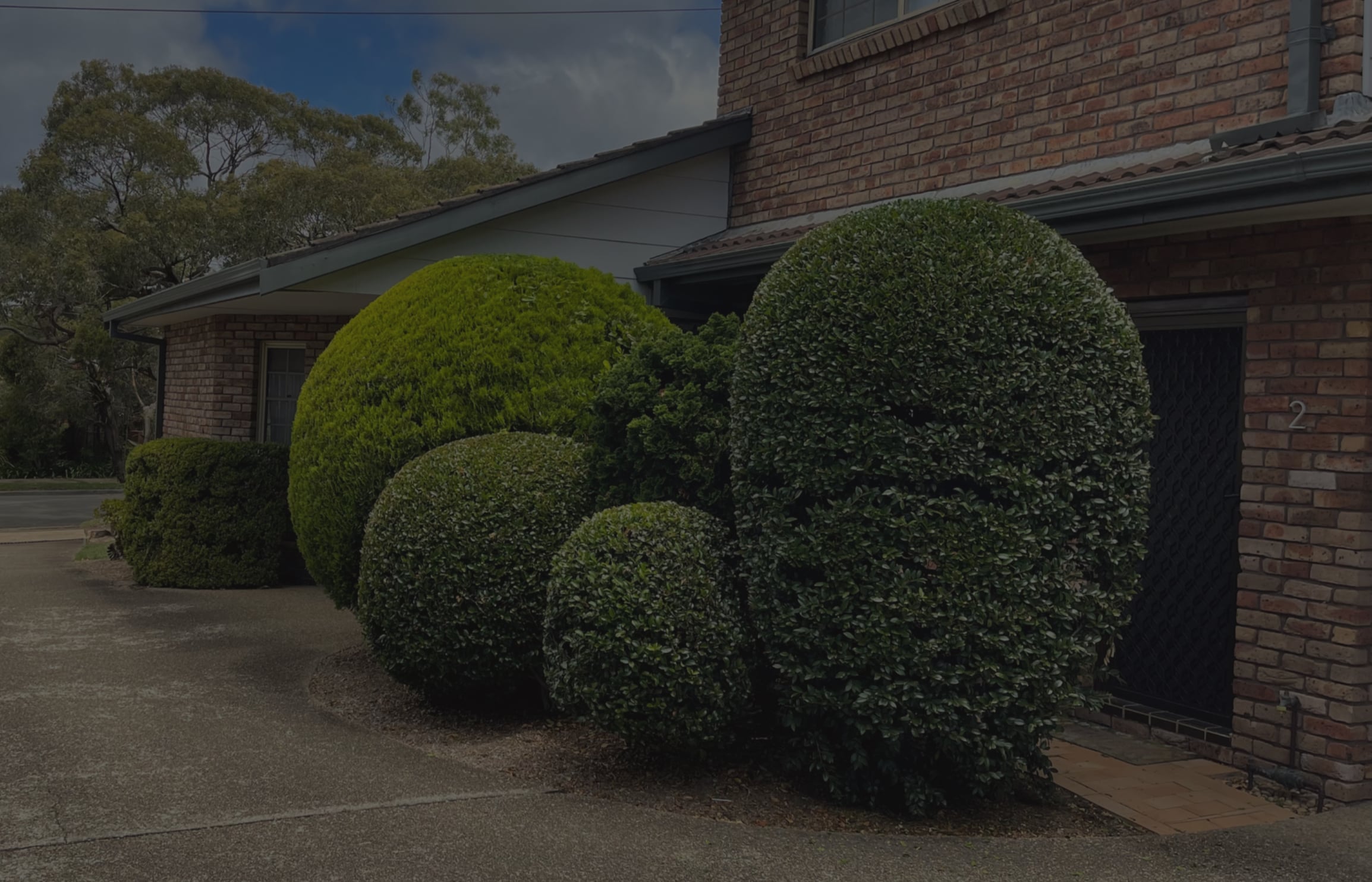 Garden restoration project showing transformed outdoor space
