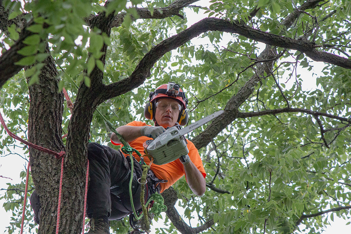 Tree Pruning