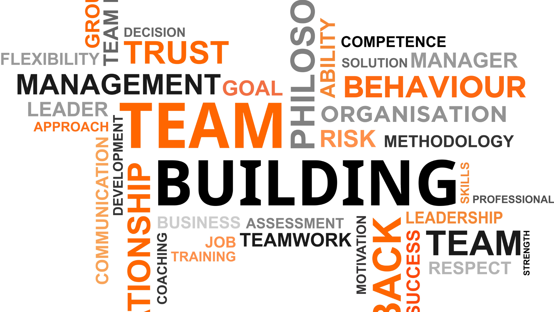 Empowering leaders and organizations through collaboration