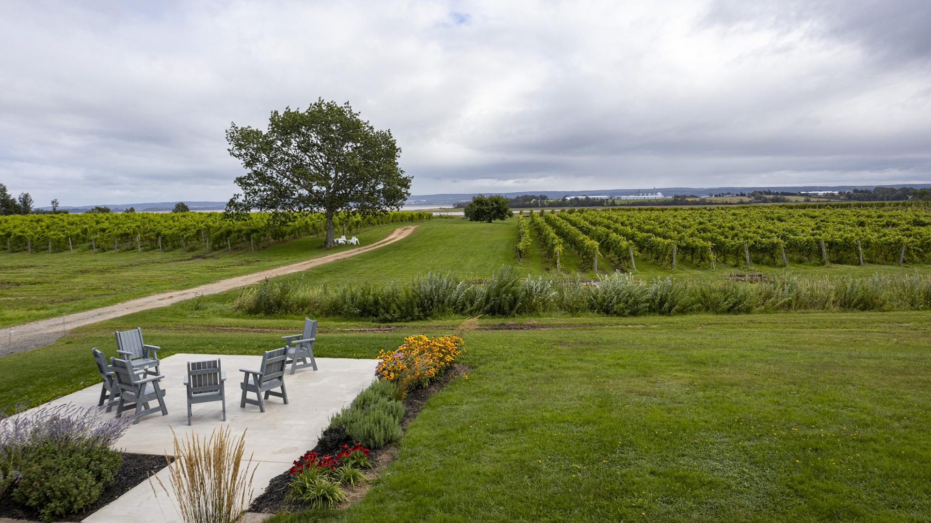 Blomidon Estate Winery