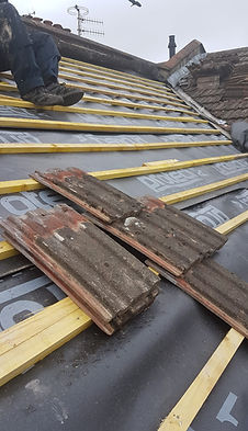 Professional Roofing Portfolio