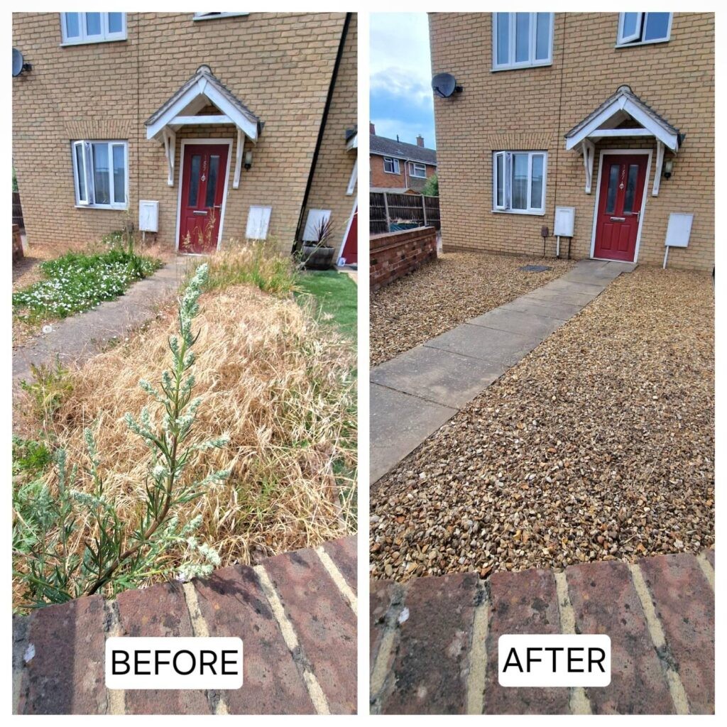 Front garden transformation before and after