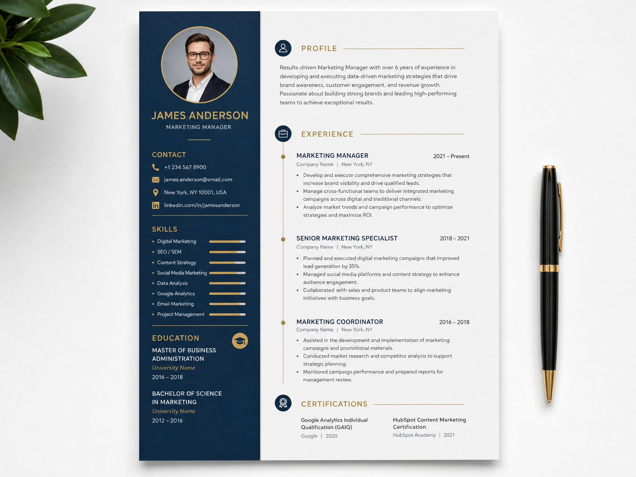 Sample professional CV and résumé design by Ease Life Ventures