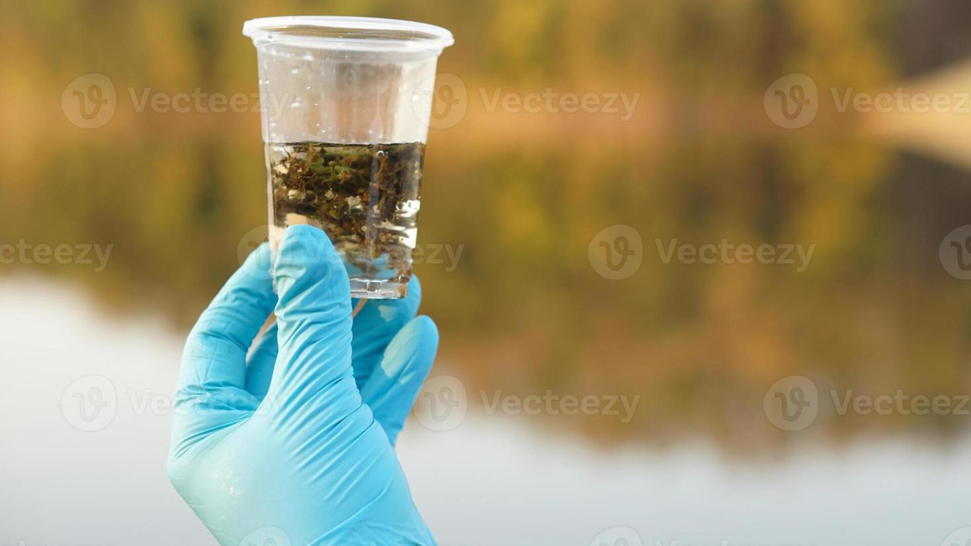 Екологічний моніторинг