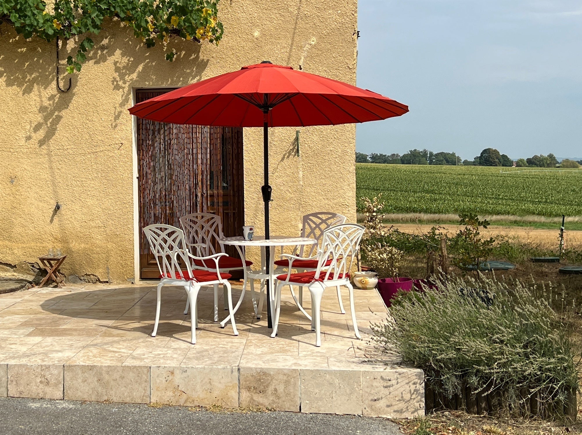 Patio entertaining area with parasol