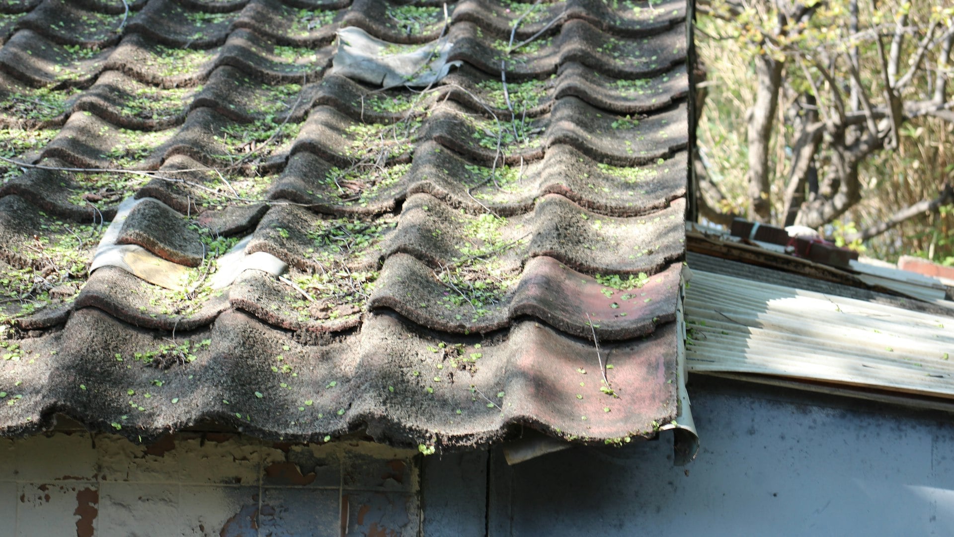 Emergency Roofing work by AS Roofing - image 4