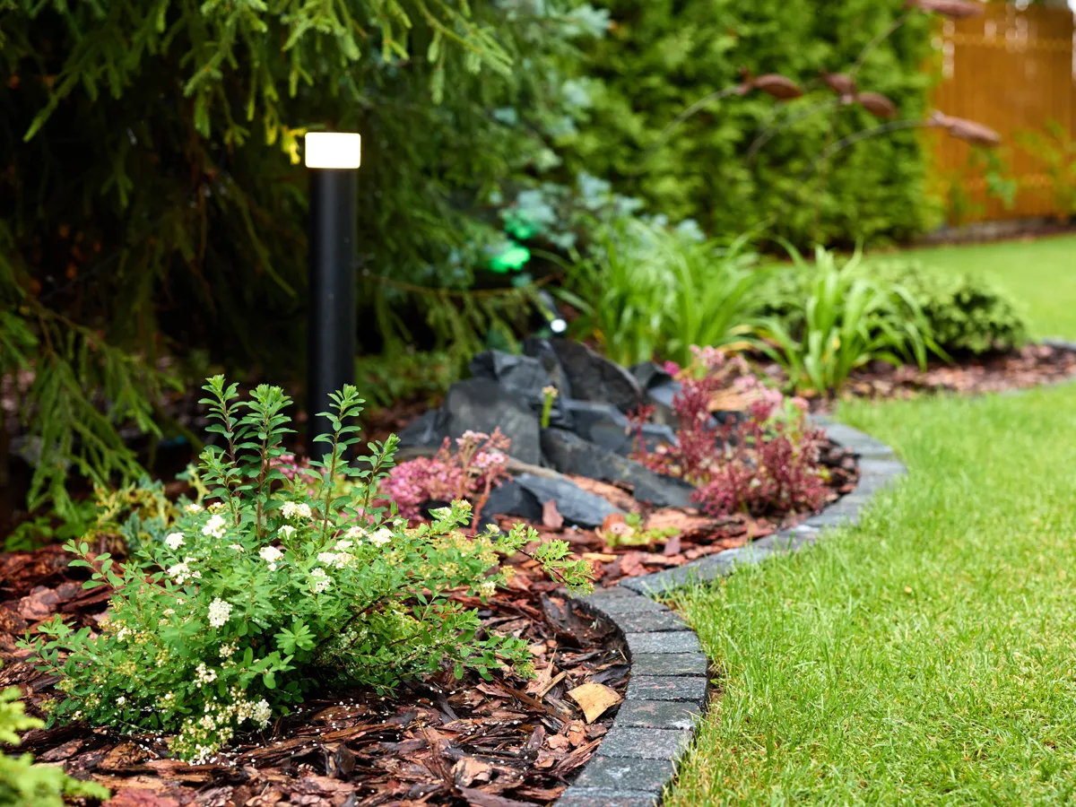 Landscape Bed Design