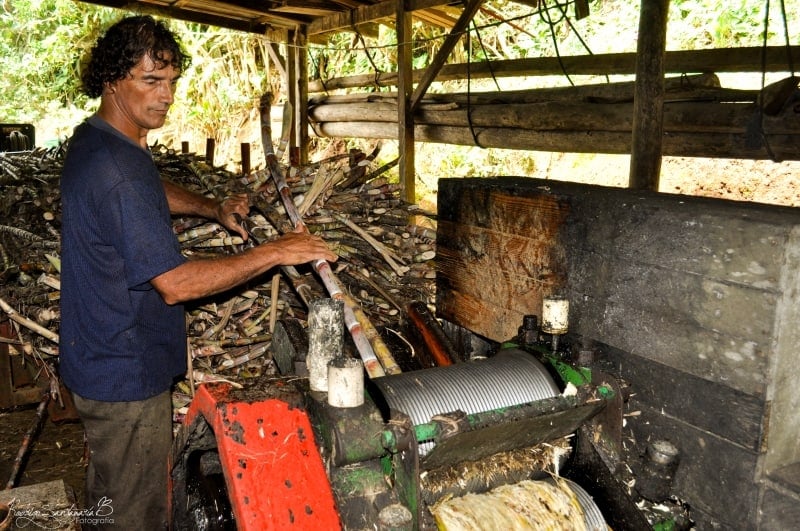Tour en Trapiche de Caña Dulce Artesanal