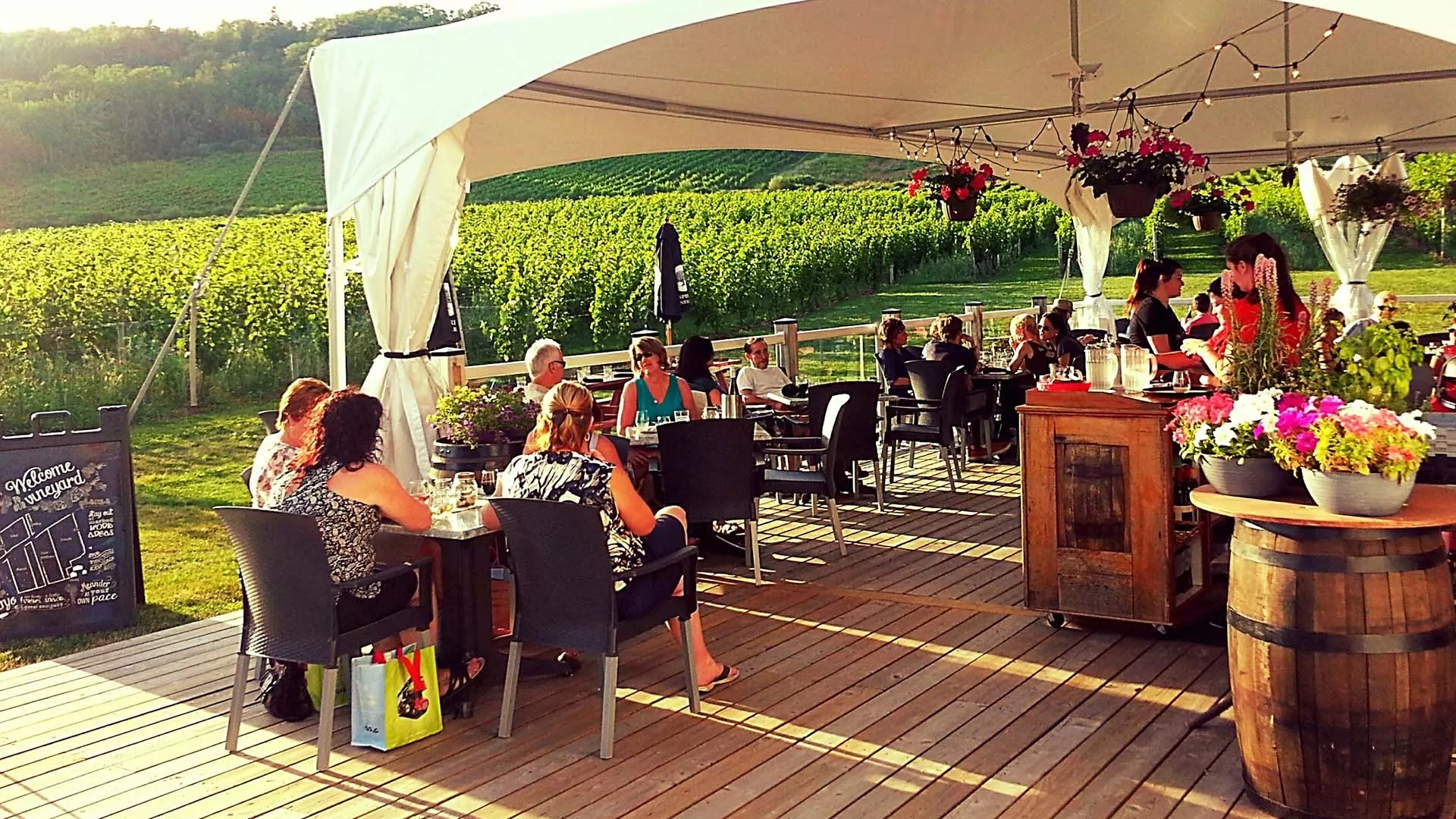 Gaspereau Vineyards