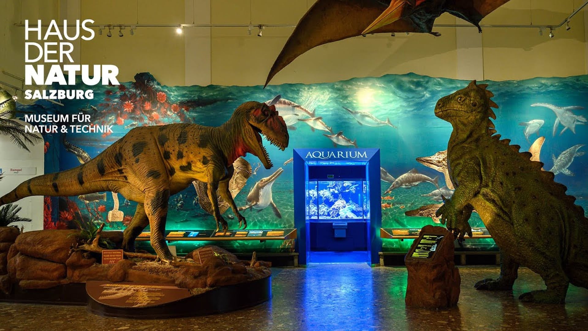 Haus der Natur (Salzburg)