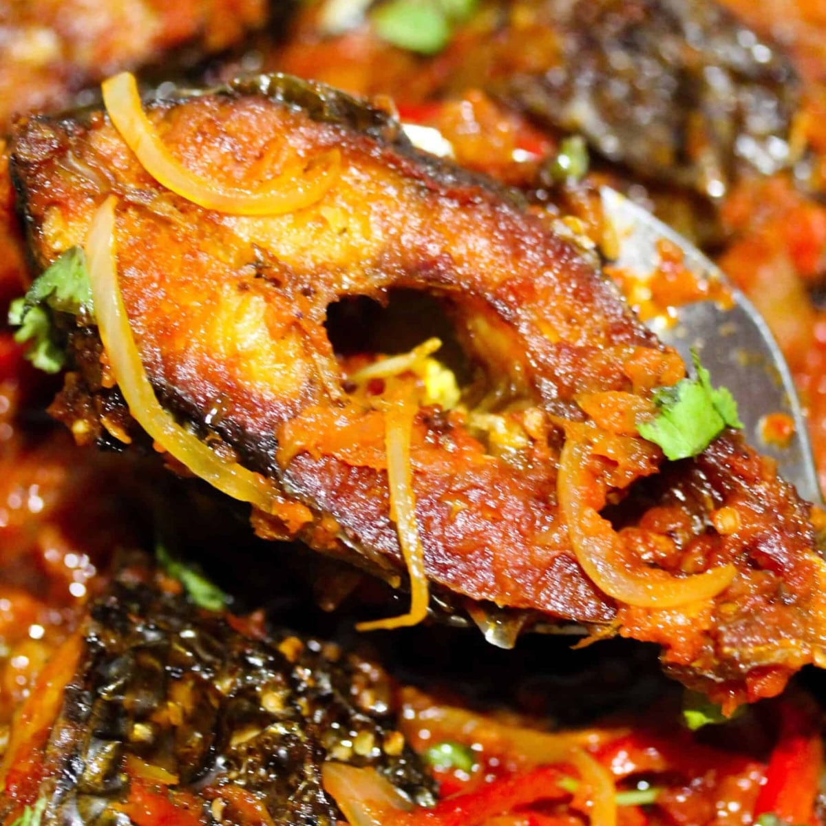 Grilled Tilapia / Fish