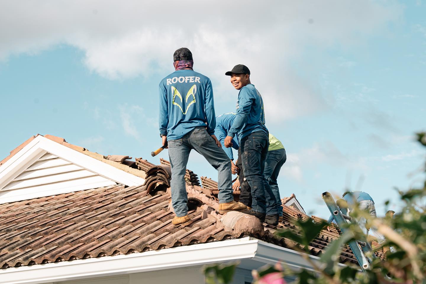 Professional Roof Installation