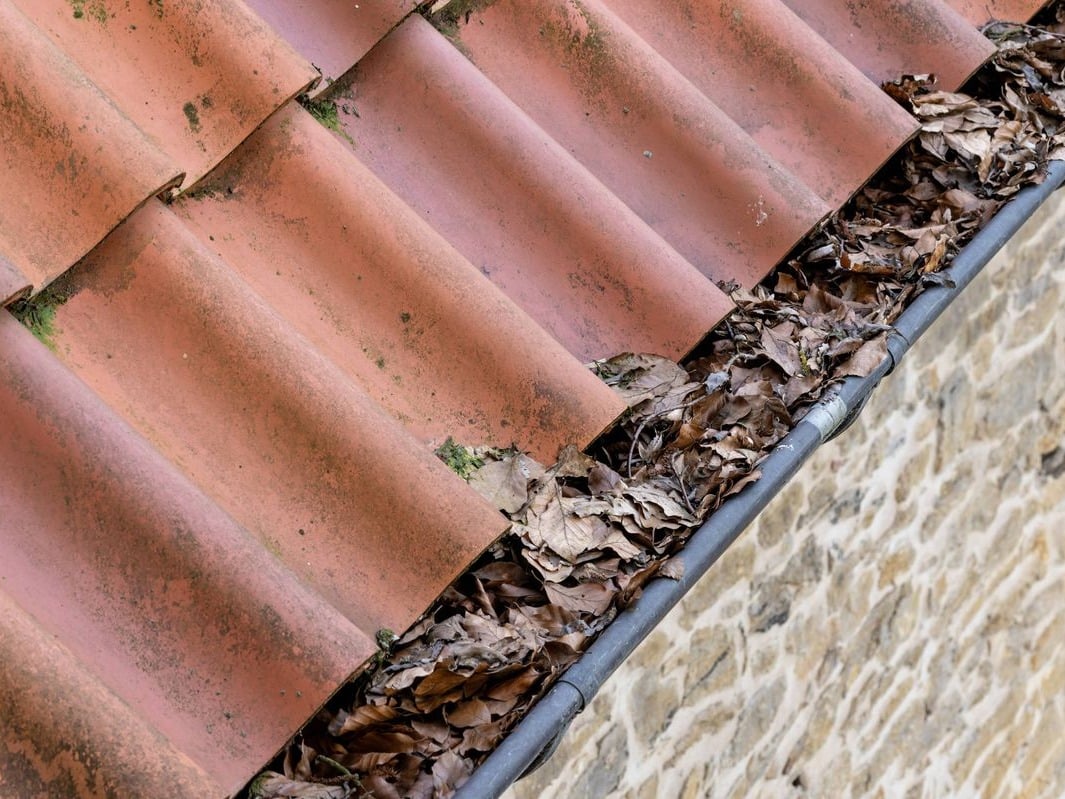 Blocked gutters full of leaves