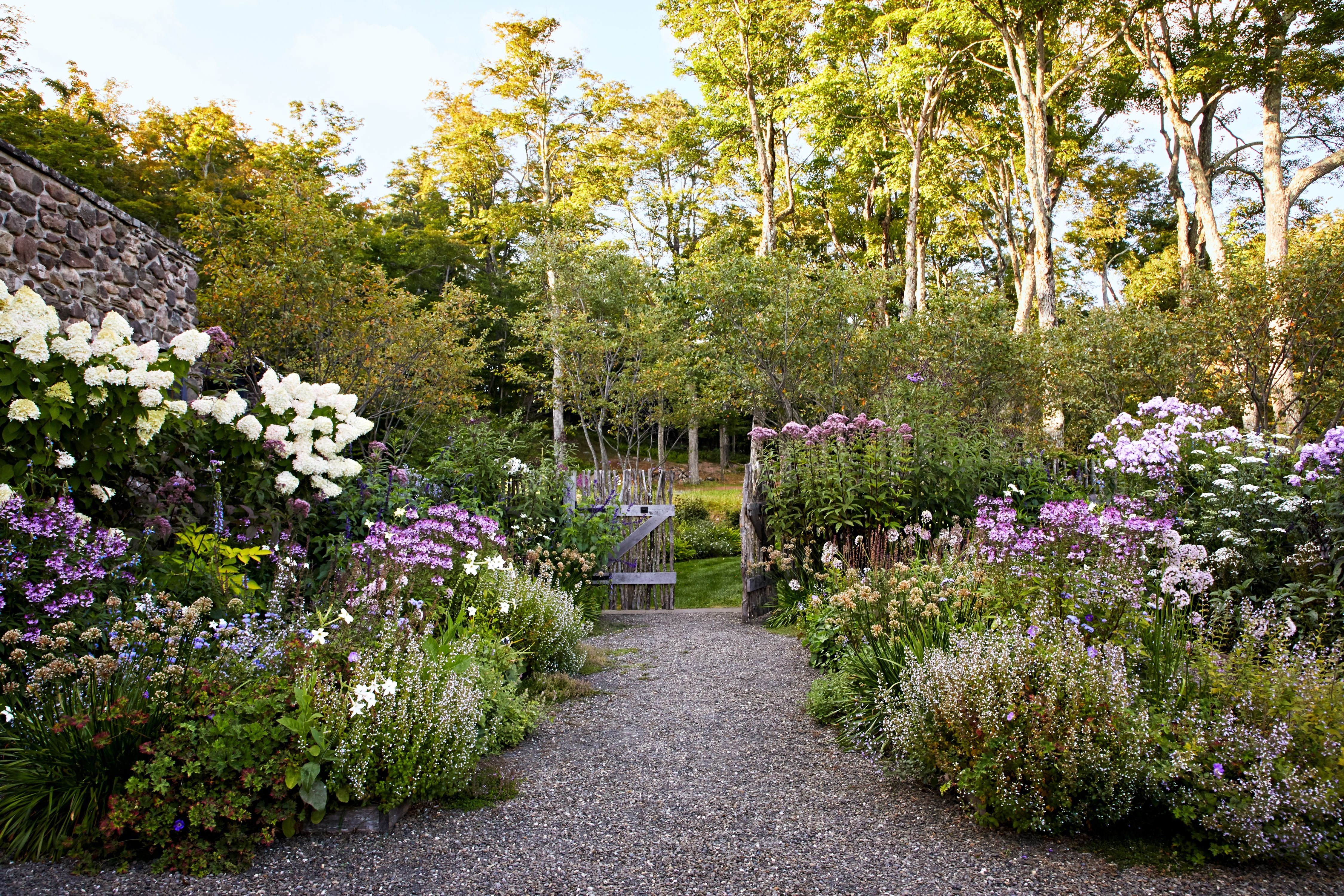 Beautiful English garden in Clapham