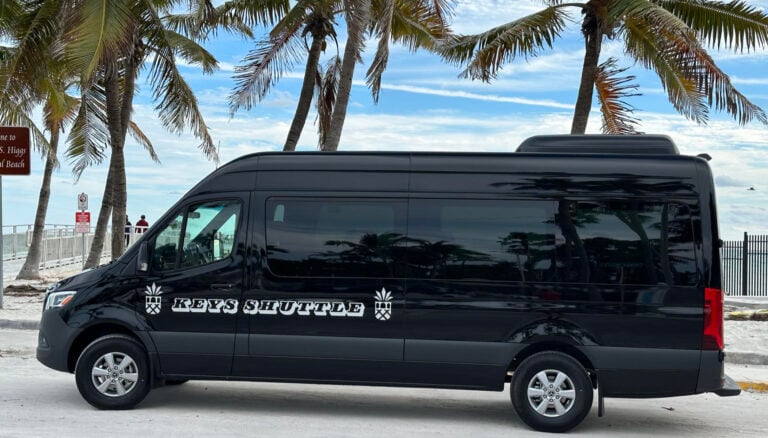Beach shuttle van near a tropical coastline
