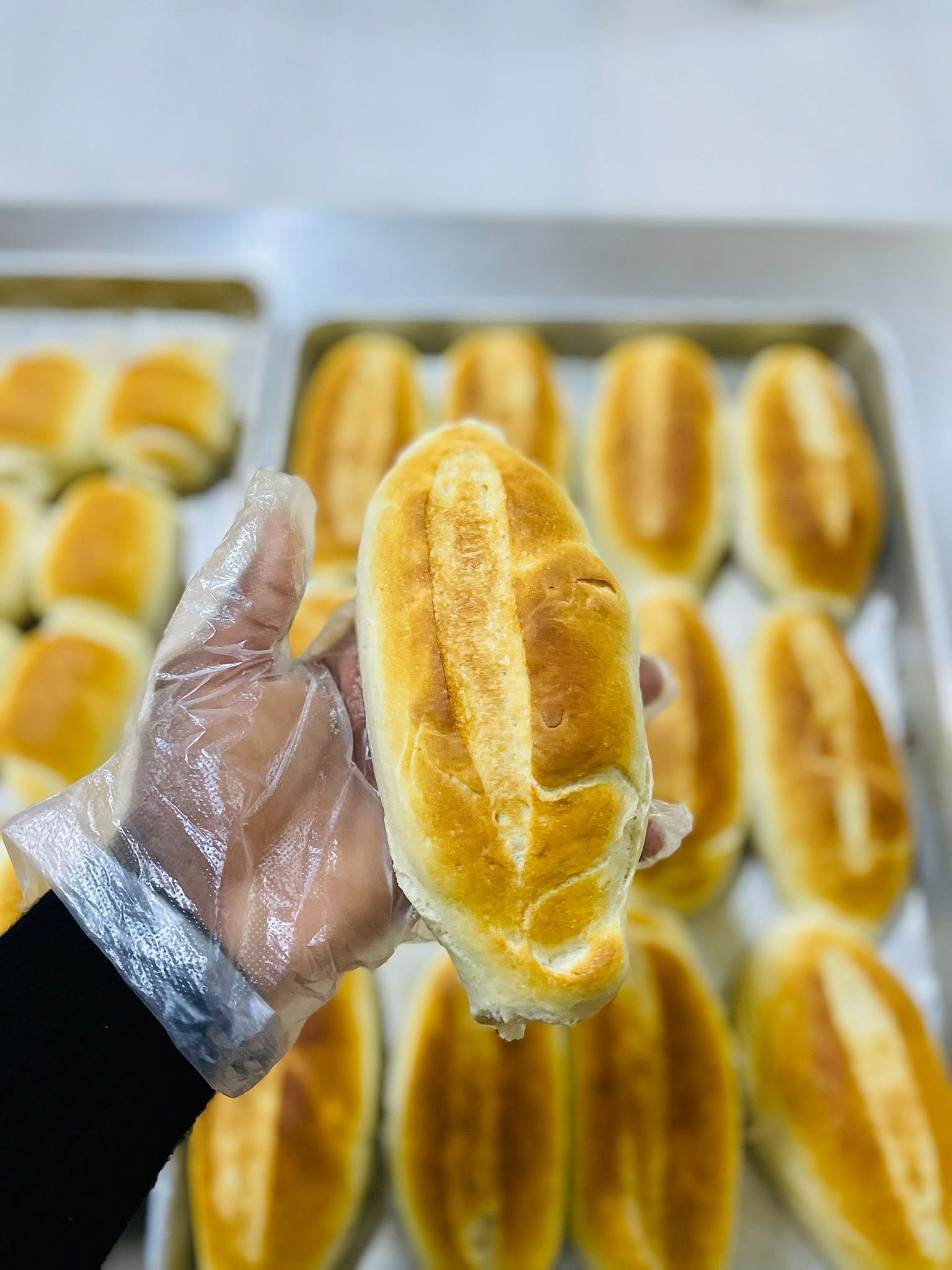 Pão acabado de sair do forno