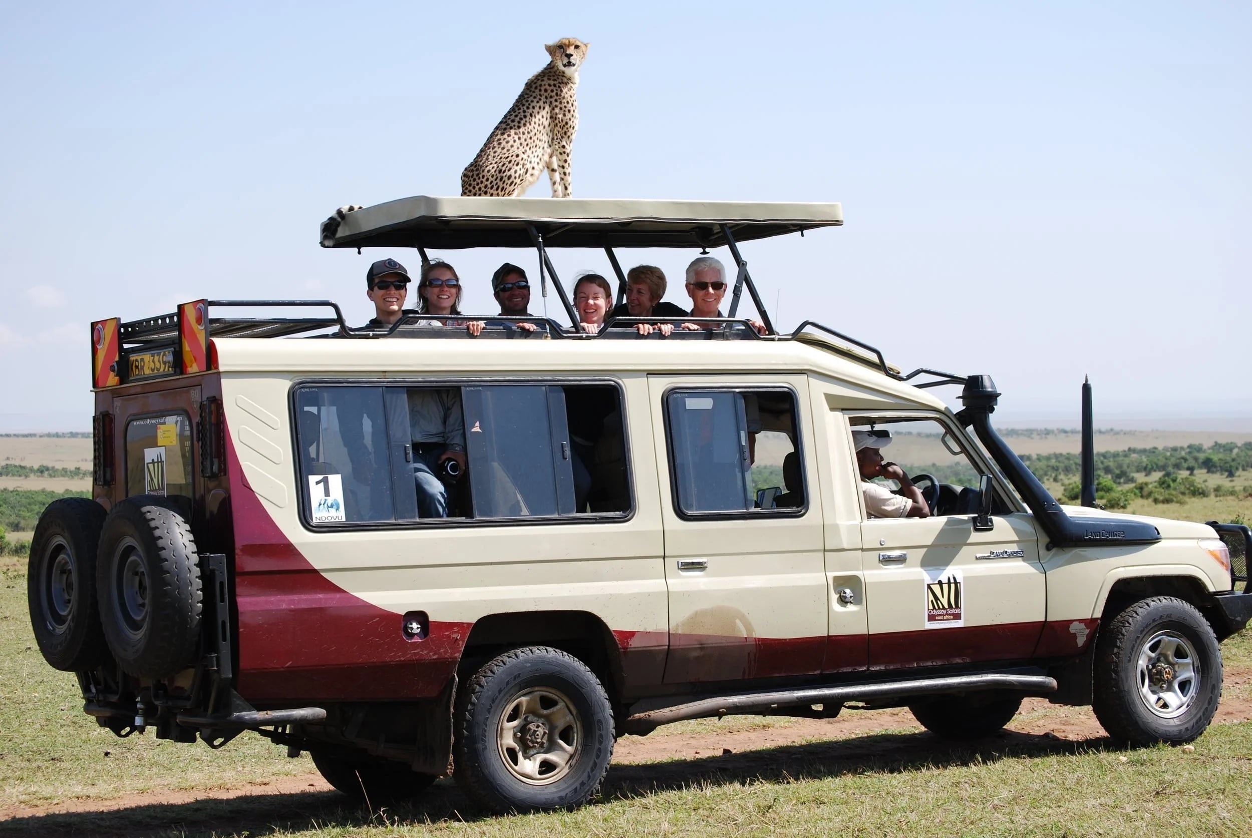 Private Safari Guide: Why Exclusive Is Always Worth It