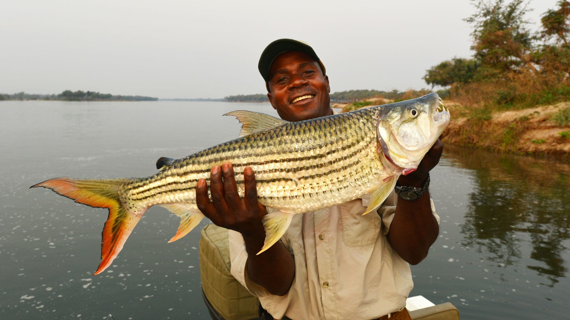 Mozambique Tiger Fishing