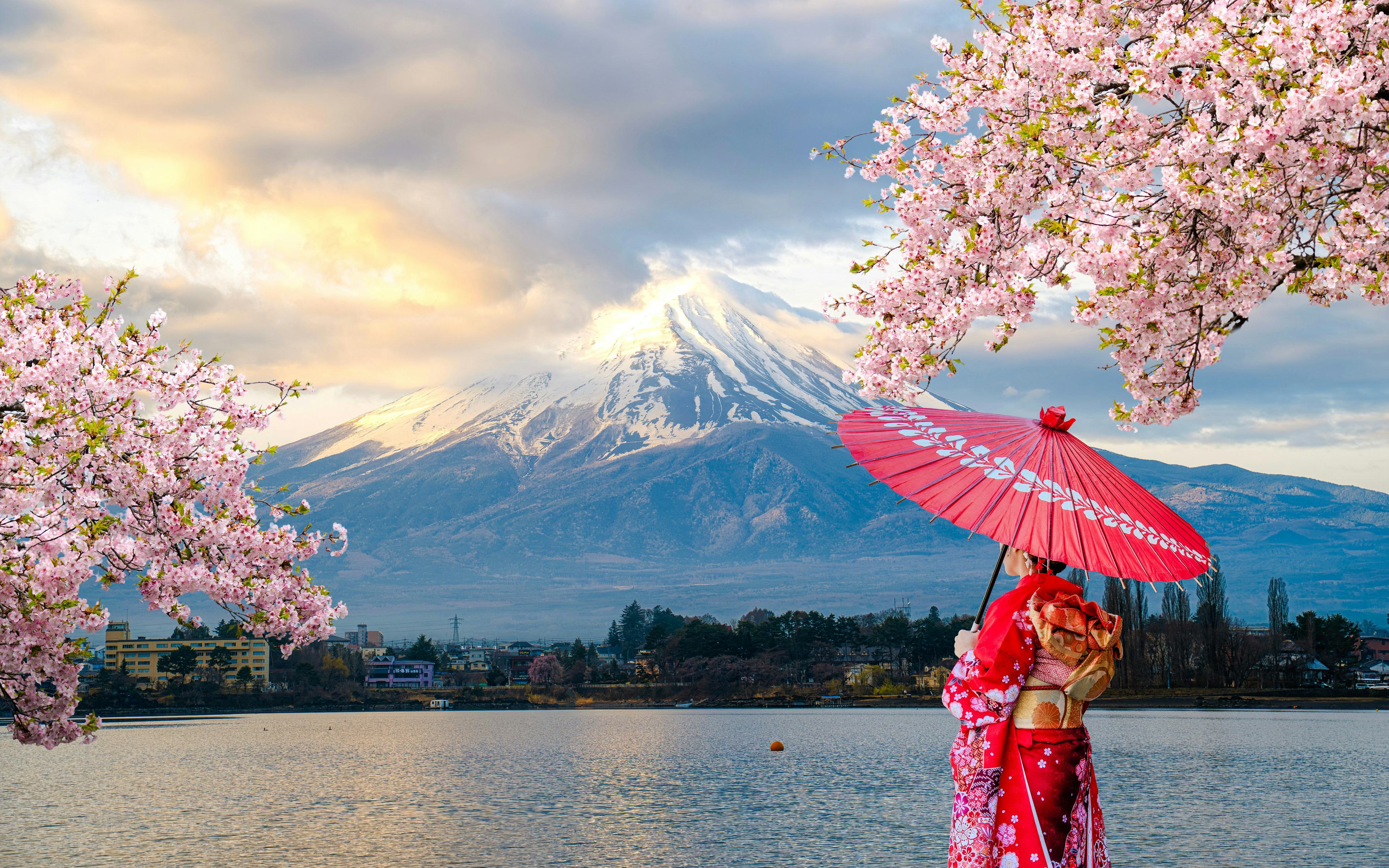 Mont Fuji et cerisiers en fleurs au Japon