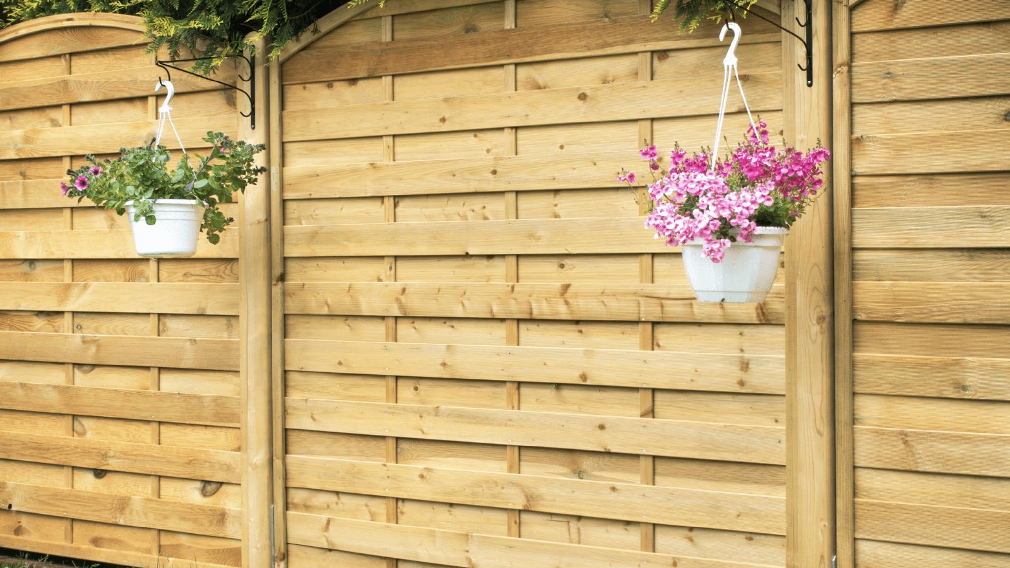 Fencing, Walls & Steps