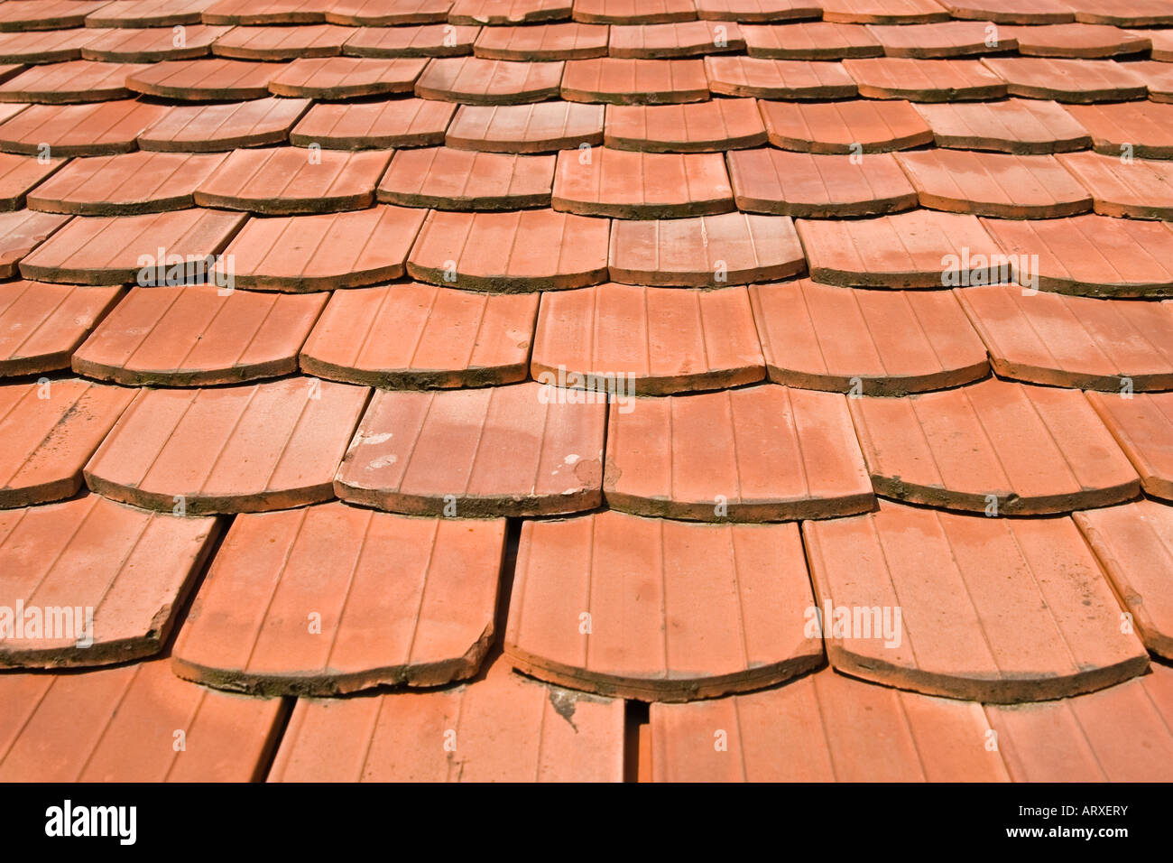 Metal Roofing Solutions