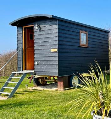 Shepherd's Huts exterior at Woodyhyde Glamping Dorset
