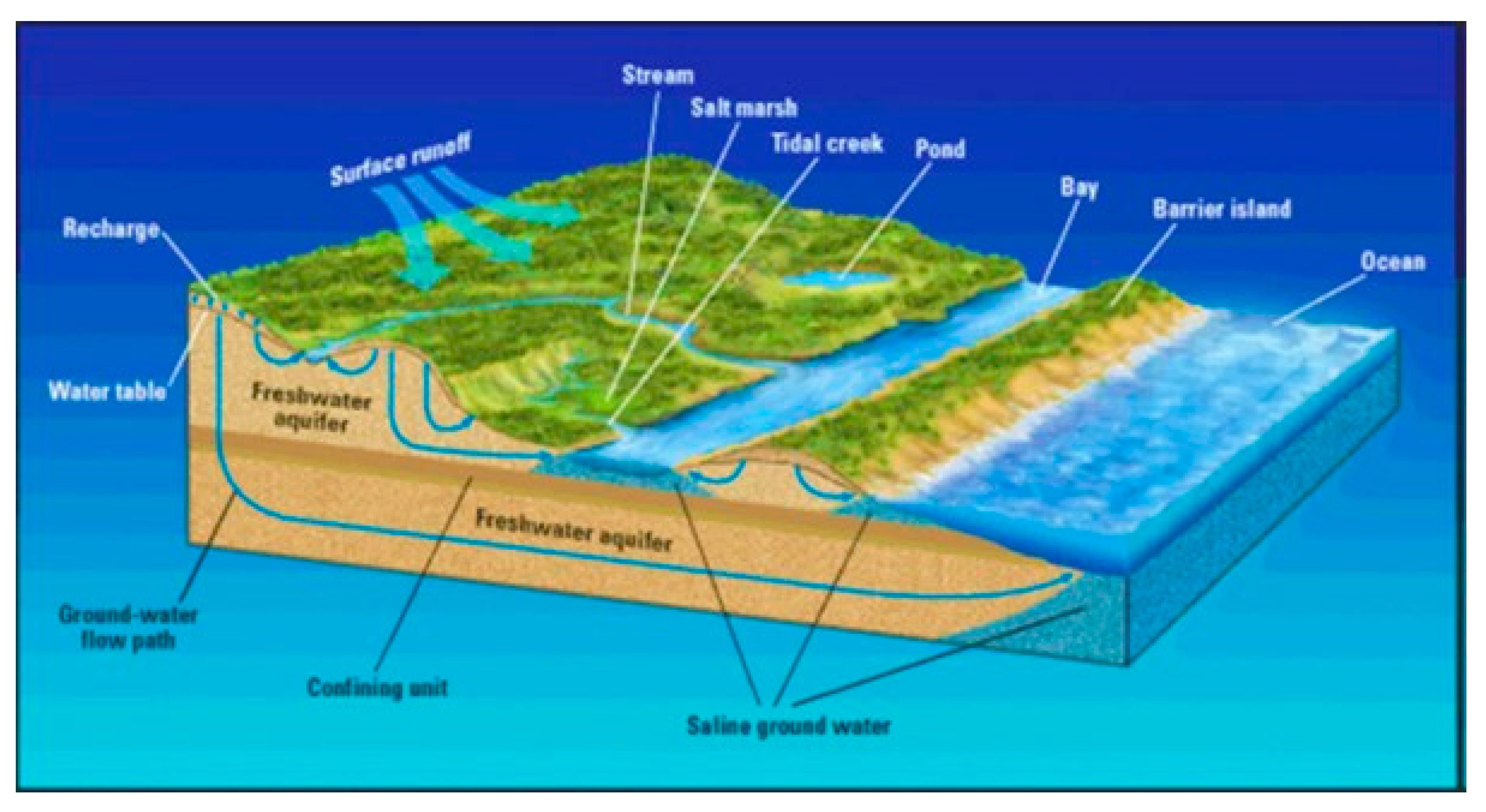 Water Pollution Management