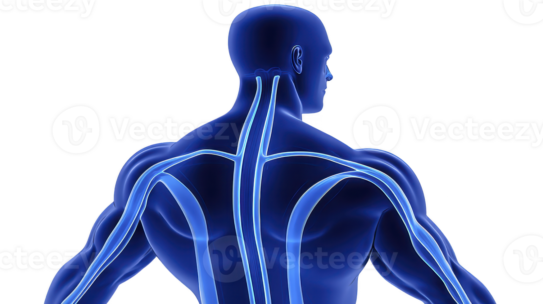 C&oacute;mo el dolor nervioso afecta el cuerpo
